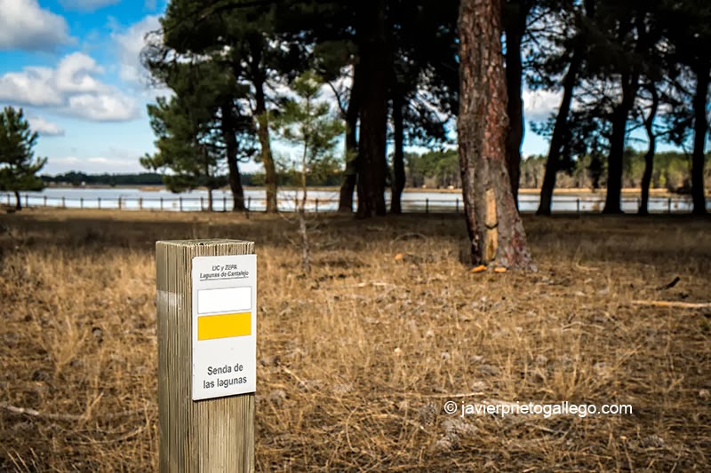 Una senda rodea la laguna de Sotillos Bajeros. Espacio natural de las Lagunas de Cantalejo. Segovia. Castilla y León. España © Javier Prieto Gallego