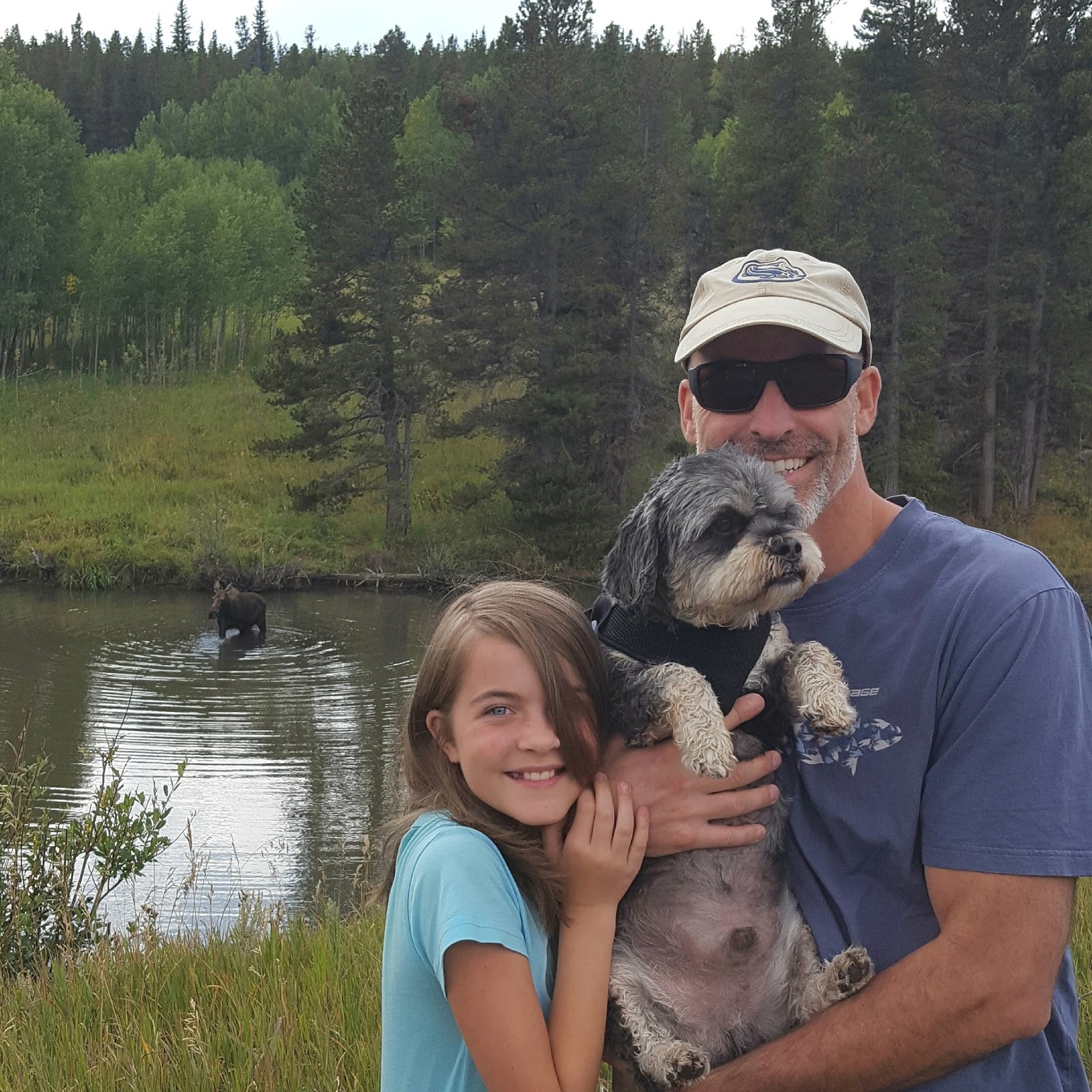 On the Fly Pet Sitting Washington Park Denver Pet Sitter Testimonial