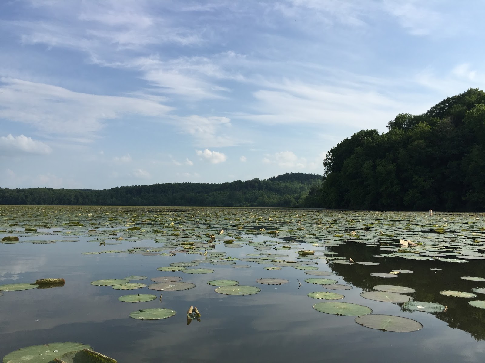 Kayaking Across Ohio Piedmont Lake Feels Like You Are Miles From