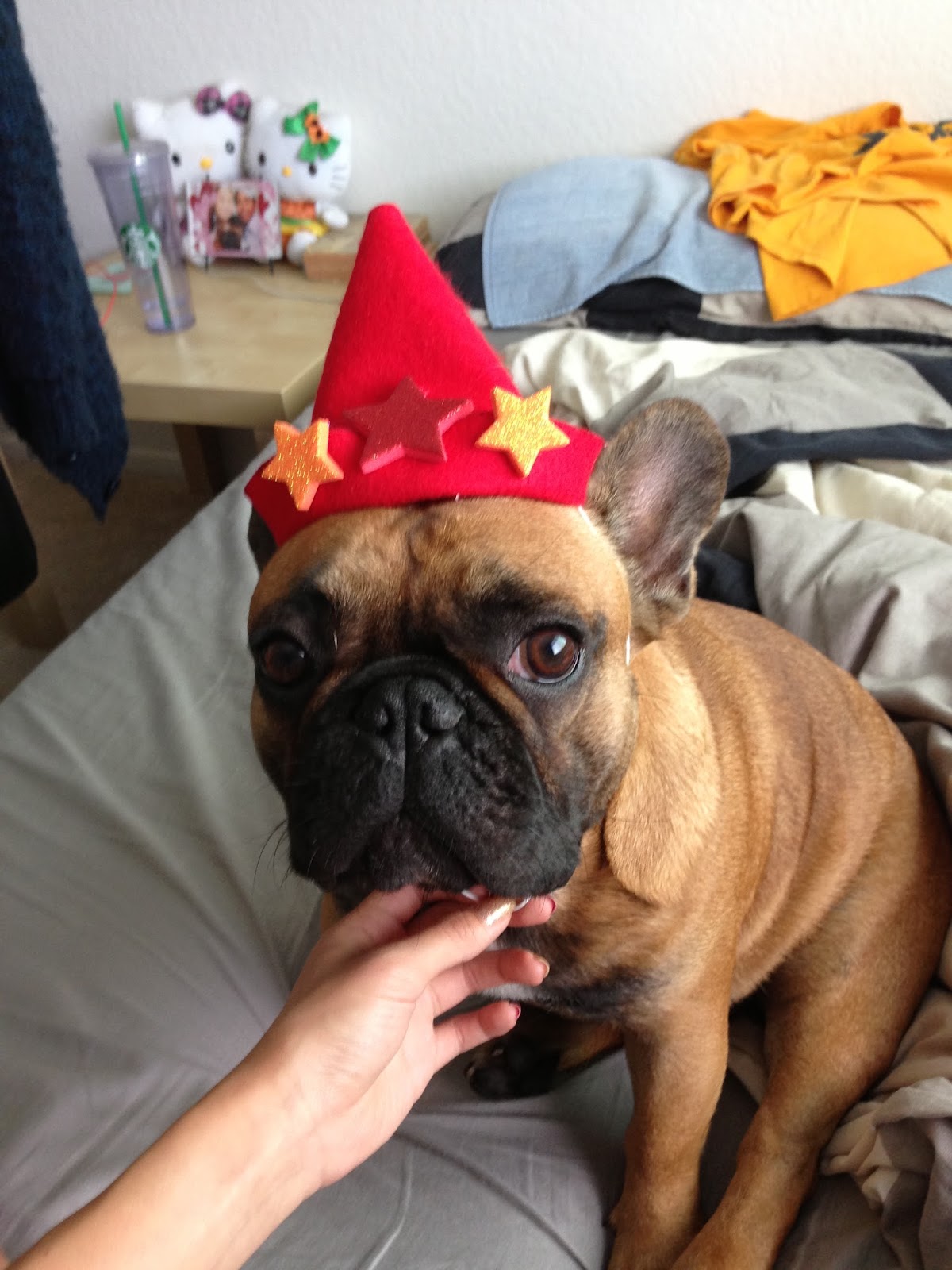 Pawdon My Frenchie DIY dog party hats