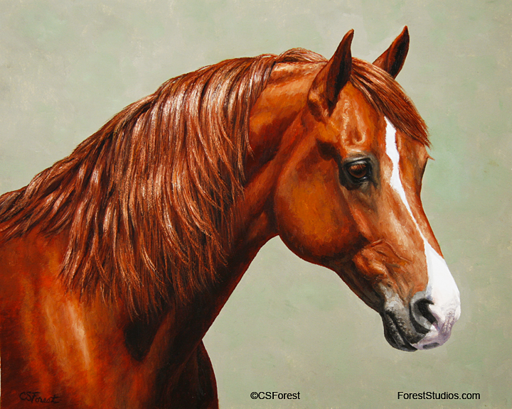 Crista Forest&#39;s Animals &amp; Art: Chestnut Horse Portrait - Fame