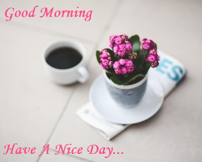 Good Morning Image With Flowers and a cup of coffee Good Morning Image With Flowers and a cup of coffee