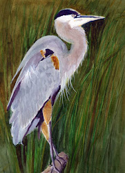 heron watercolor artwork bunny inches