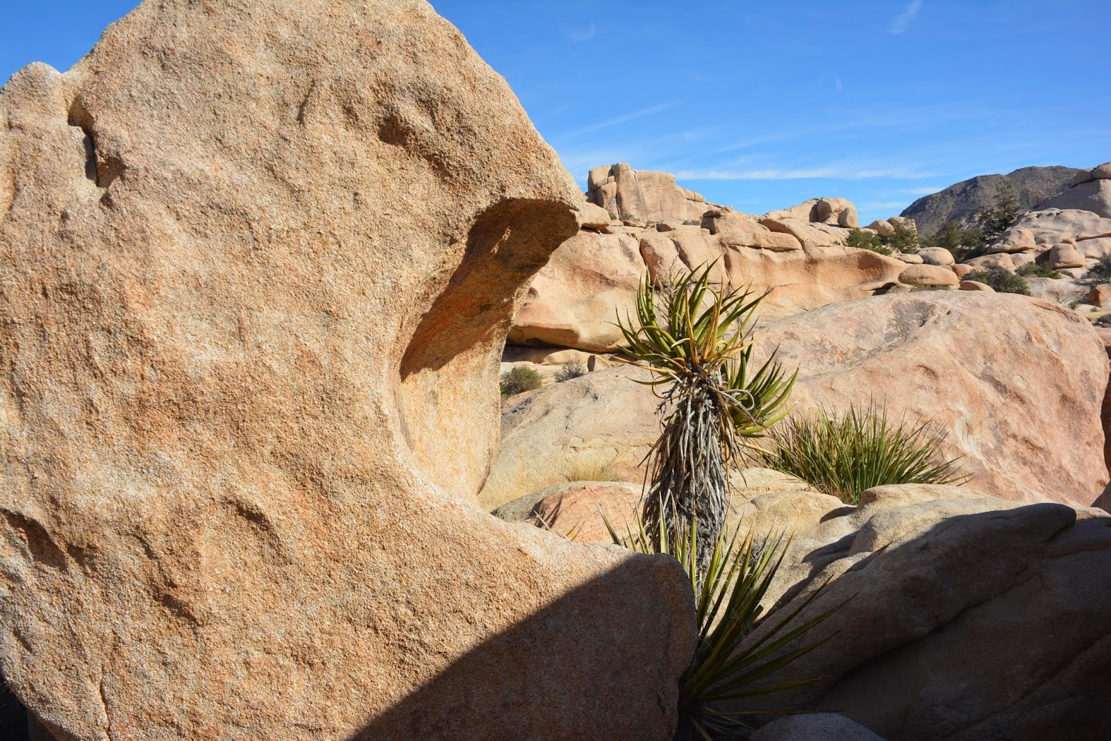 Patrick Tillett Iron Door Cave Joshua Tree National Park