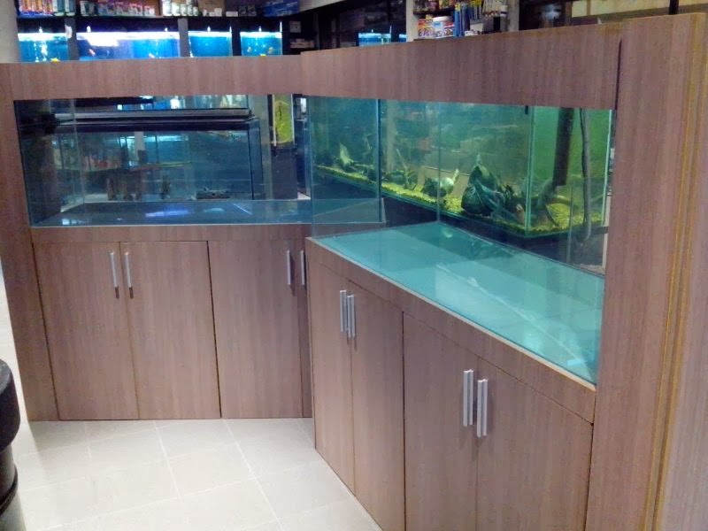 Acuarios Decorpez: Muebles para peceras marinas Acuarios Decorpez: Muebles para peceras marinas