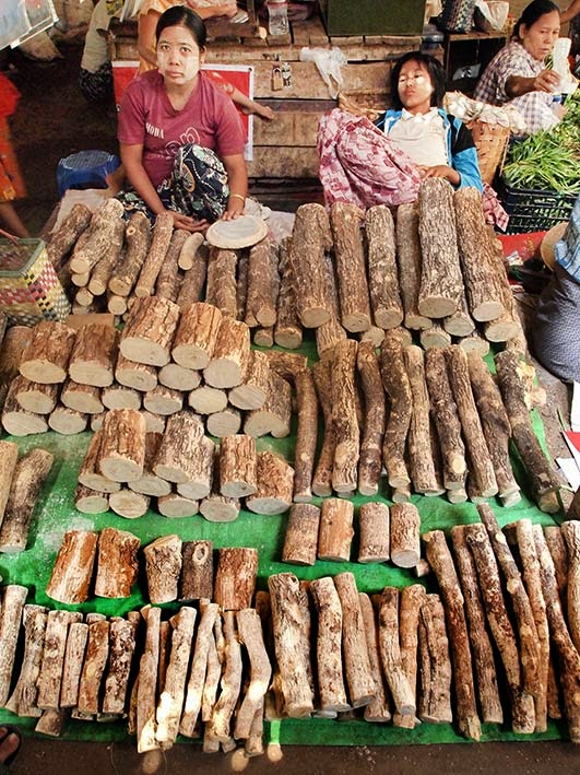 Thanaka wood - Mani Sithu market, Nyaung-U, Bagan