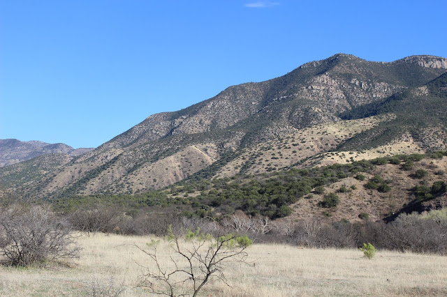 Guided%2BCoues%2BDeer%2BHunts%2Bin%2BSonora%2BMexico%2Bwith%2BJay%2BScott%2Band%2BDarr%2BColburn%2BDIY%2Band%2BFully%2BOutfitted%2B2.JPG