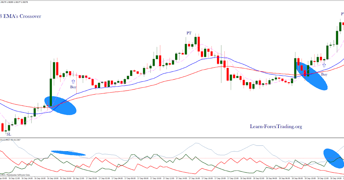 Learn forex in 24 hours
