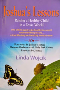 Joshua's Lessons - Raising a Healthy Child in a Toxic World