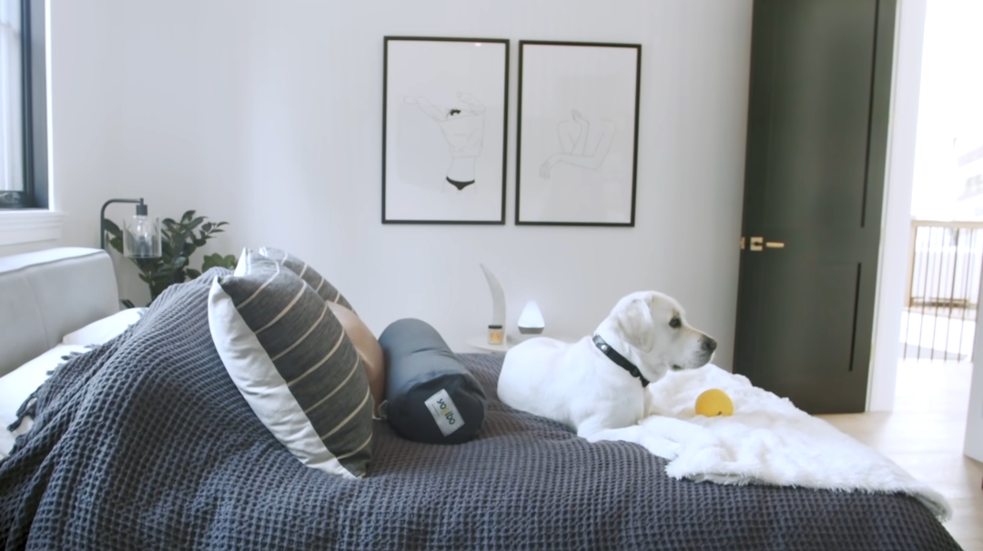 75 Interior Design Photos vs. James Charles $7 Million LA Luxury Mansion Tour