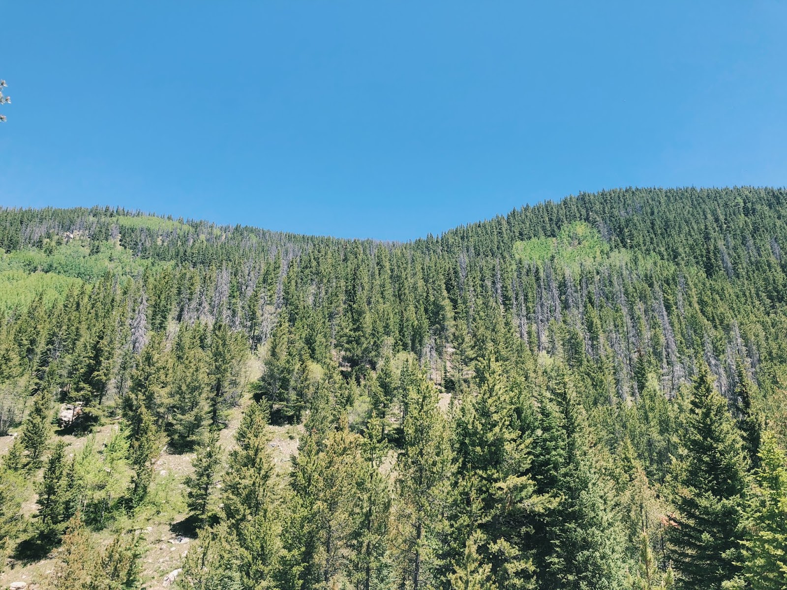 Boulder, Fort Collins, and Granby! My HI Life