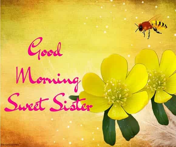 good-morning-sweet-sister good morning sweet sister