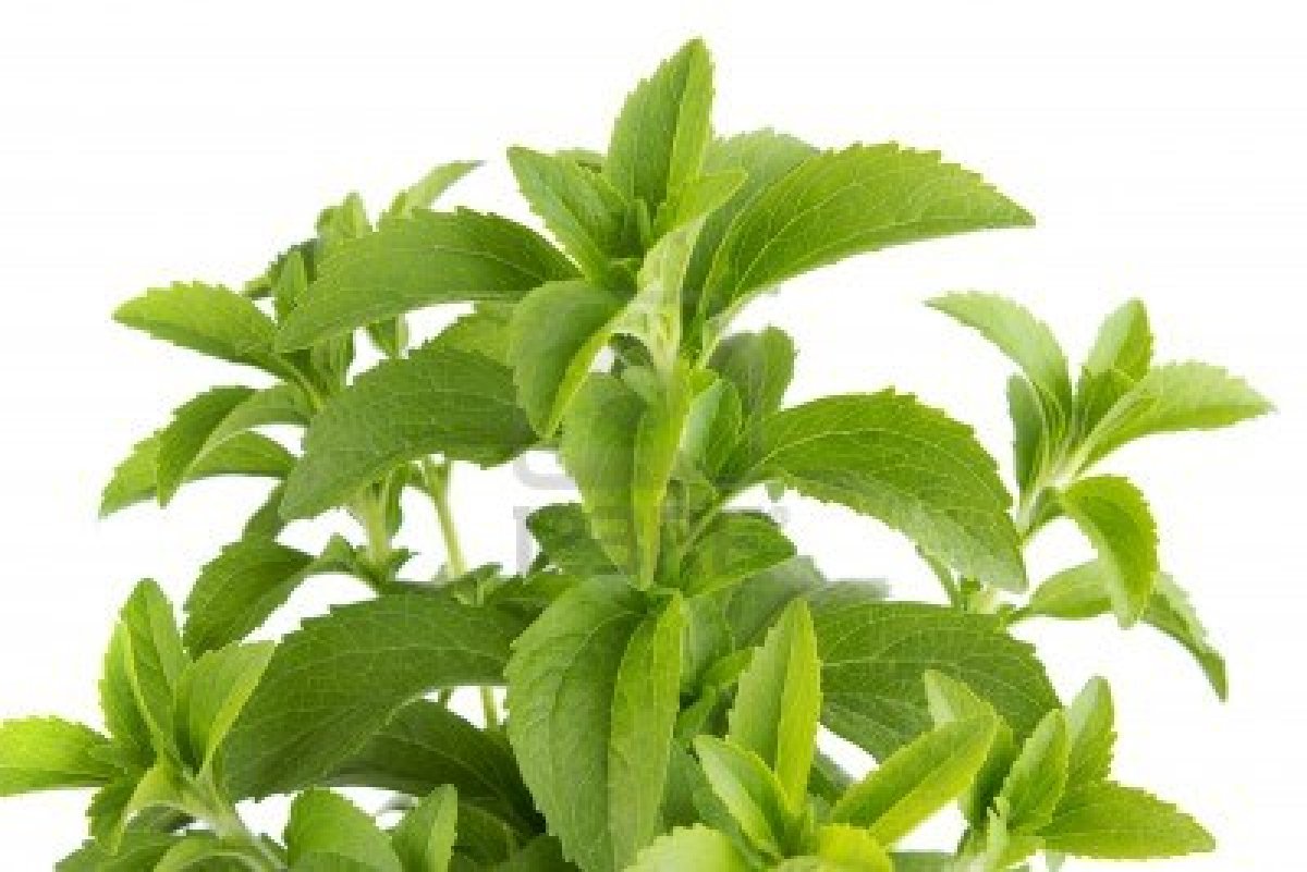 Namaste Gusutavo ¿Que es la Stevia?