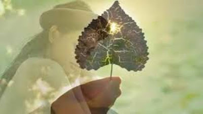 blog-mania.ro postare Vis Si Poezie