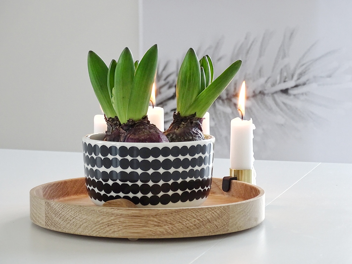 Alternative zu Übertöpfen: Pflanzen in Schalen, Tassen und Bechern | https://mammilade.blogspot.de Alternative zu Übertöpfen: Pflanzen in Schalen, Tassen und Bechern | https://mammilade.blogspot.de