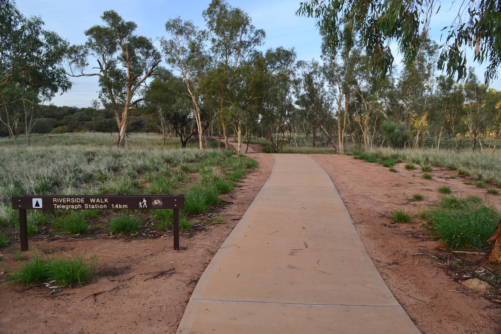 Goin' Feral One Day At A Time Bradshaw Walk, Alice Springs Telegraph