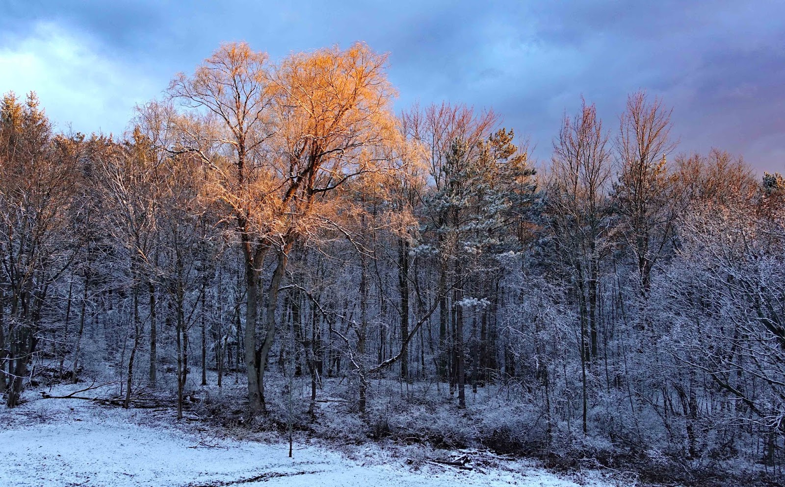 Joe's Retirement Blog Spring Snowfall, Ithaca, New York, USA