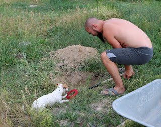 Putting my back into digging a hole Putting my back into digging a hole
