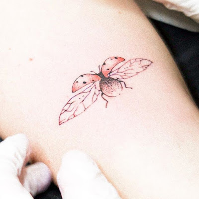 ✘ 44+ Best Ladybug Tattoos Ideas Designs For Summer 2020 belong to the family of beetles referred to as Coccinellidae ✘ 44+ Best Ladybug Tattoos Ideas Designs For Summer 2020