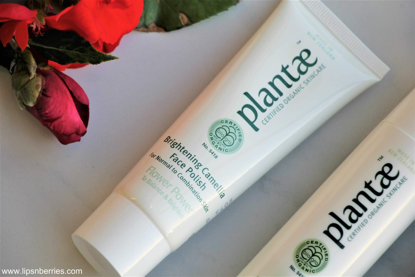 plantae skincare