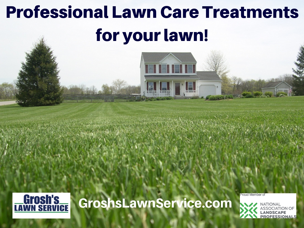 Groshs Lawn Service Lawn Care Treatments Smithsburg MD Washington