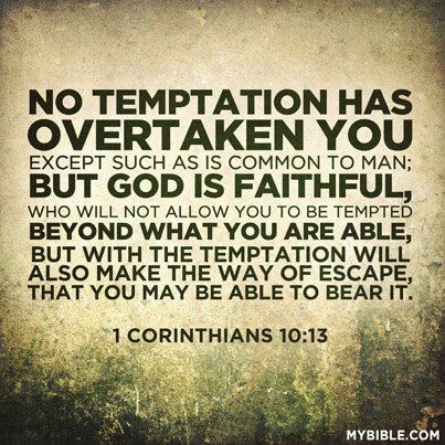 Daily Devotions