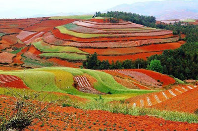 Dongchuan Red Land Dongchuan Red Land China