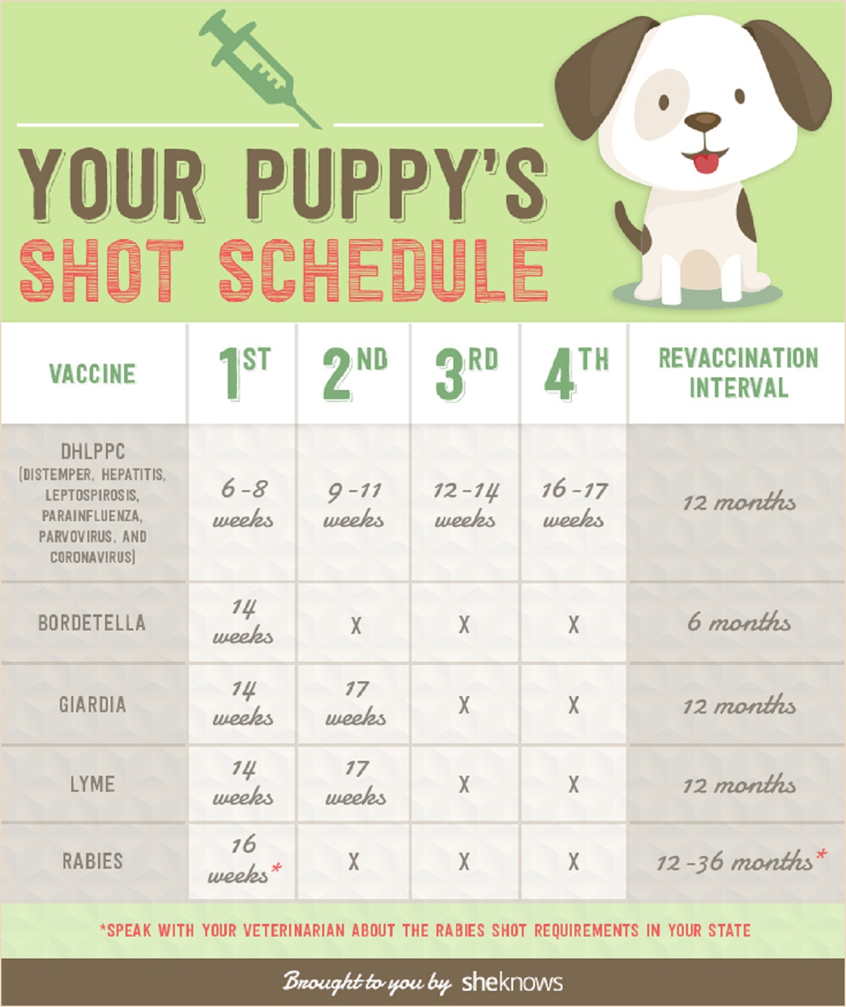 Vaccine Schedule For A Puppy
