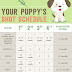 Puppy Vaccinations - Diseases, Reactions and Reducing Stress
