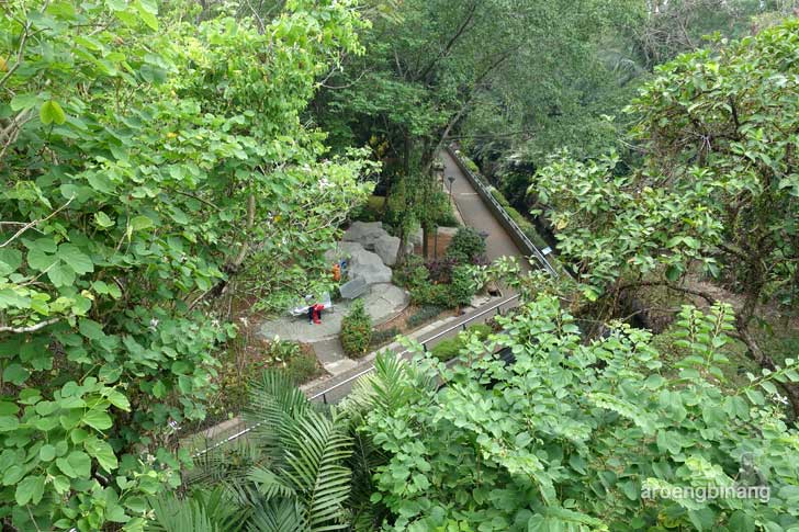 pusat primata schmutzer kebun binatang ragunan jakarta