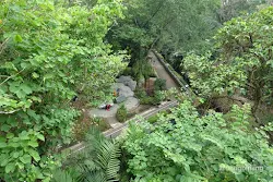 pusat primata schmutzer kebun binatang ragunan jakarta