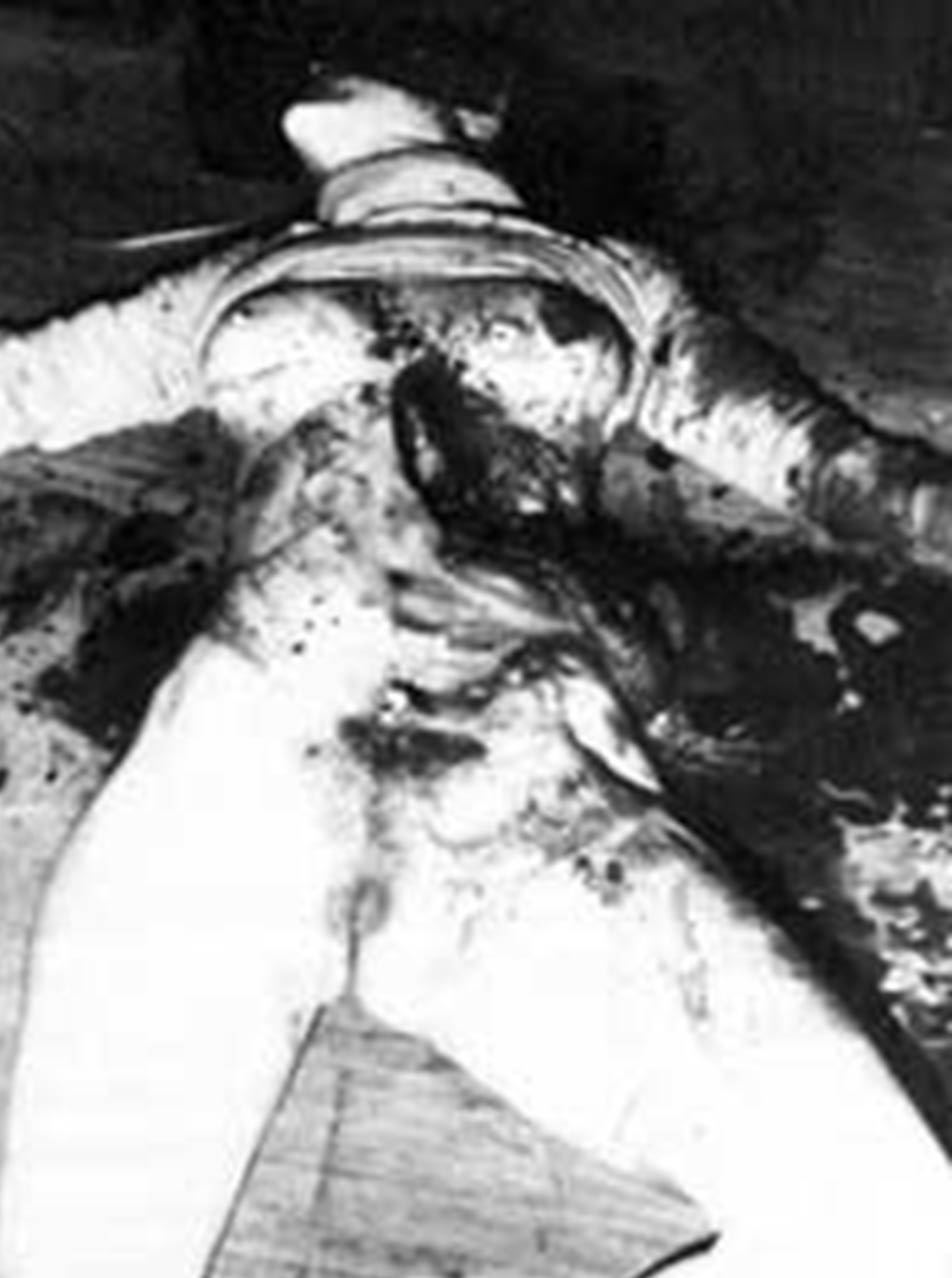 Ted bundy crime scene pictures
