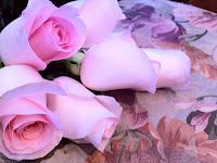 Sweet Akito Roses - Stein Your Florist Co.