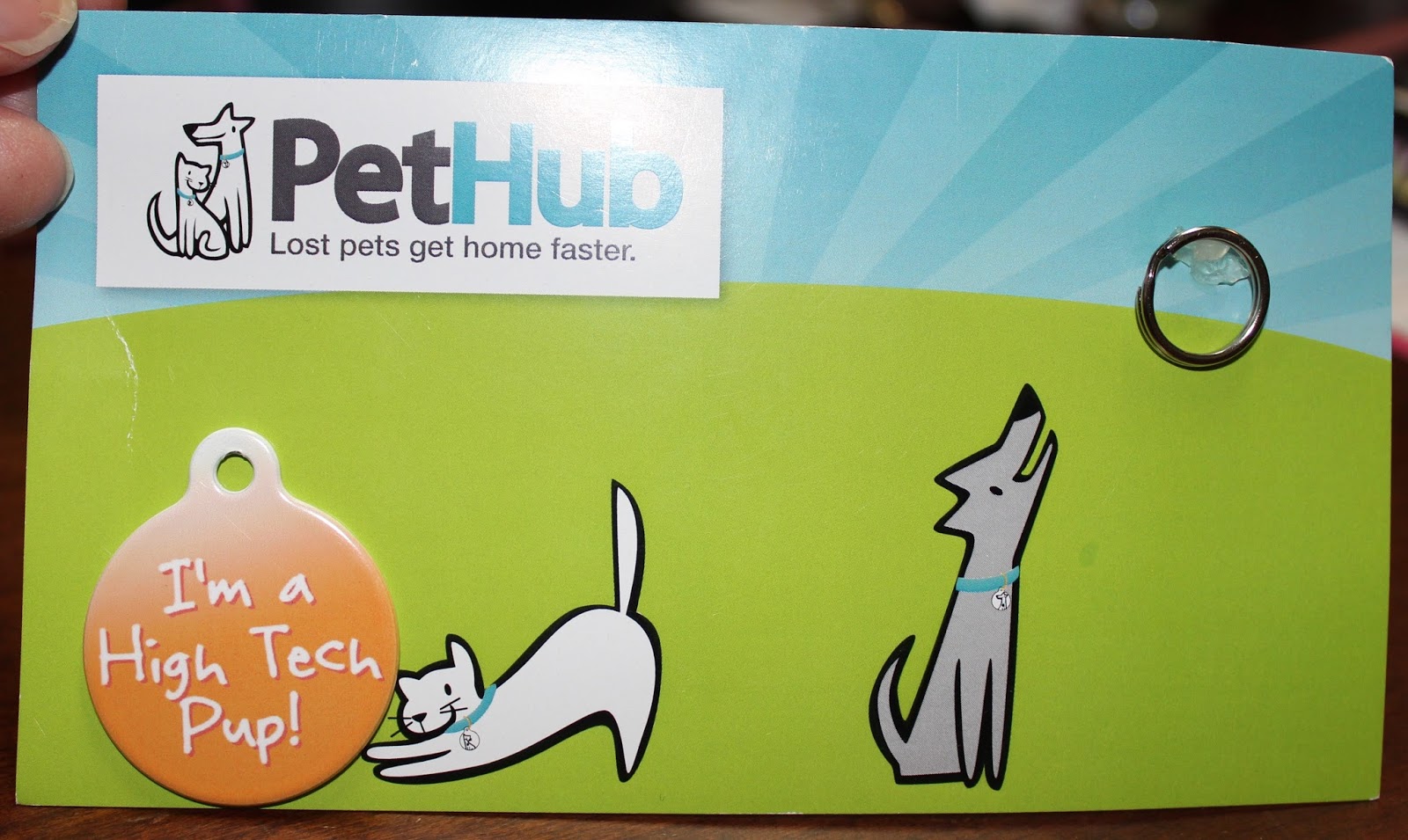 Travel, Pets and PetHub