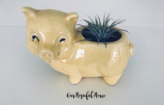 1950's yellow porcelain pig planter cold painted air plant container