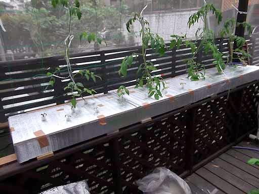 水耕栽培装置自作教室 スーパーホームハイポニカもどきの製作