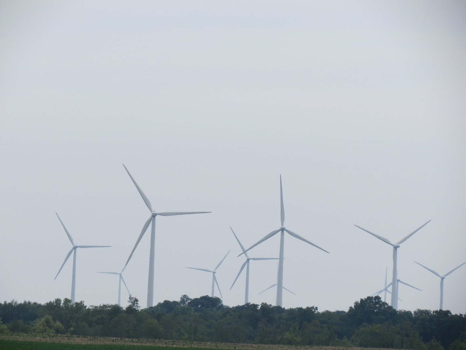 Our Nature Wind Farming