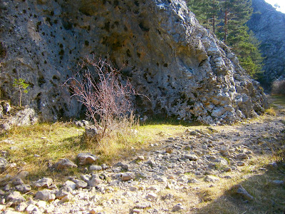 Manantiales en el corazón del Estrecho del Infierno, en el nacimiento de rio Jucar / Xuquer, Cuenca., España