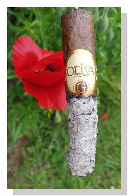 Oliva cigare
