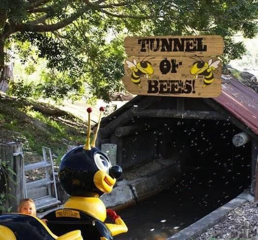 Funny Tunnel of Bees Picture