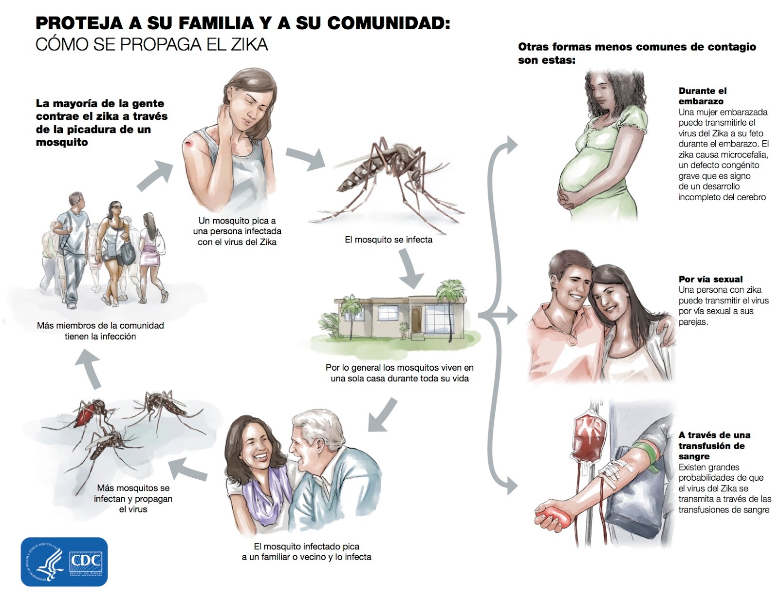 ZIKA EN COLOMBIA ZIKA EN COLOMBIA SITUACIÓN ACTUAL