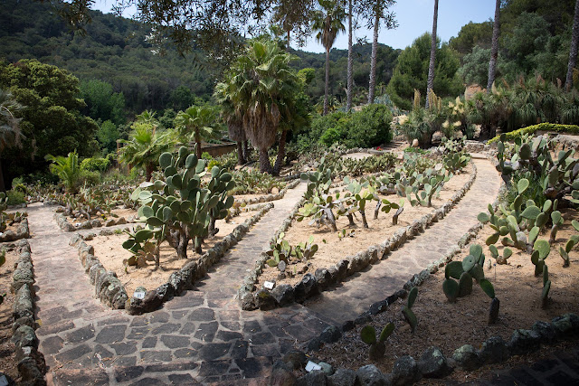 Jardin Botanico Tropical Pinya de Rosa Blanes - Парк кактусов Бланес
