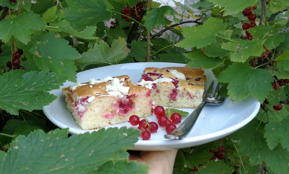 Barbaras Spielwiese: Blondies mit Johannisbeeren