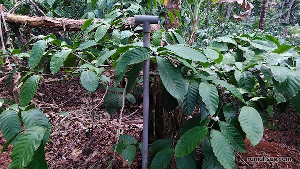 Fungsi Pipa Udara pada Septic Tank Fungsi Pipa Udara pada Septic Tank