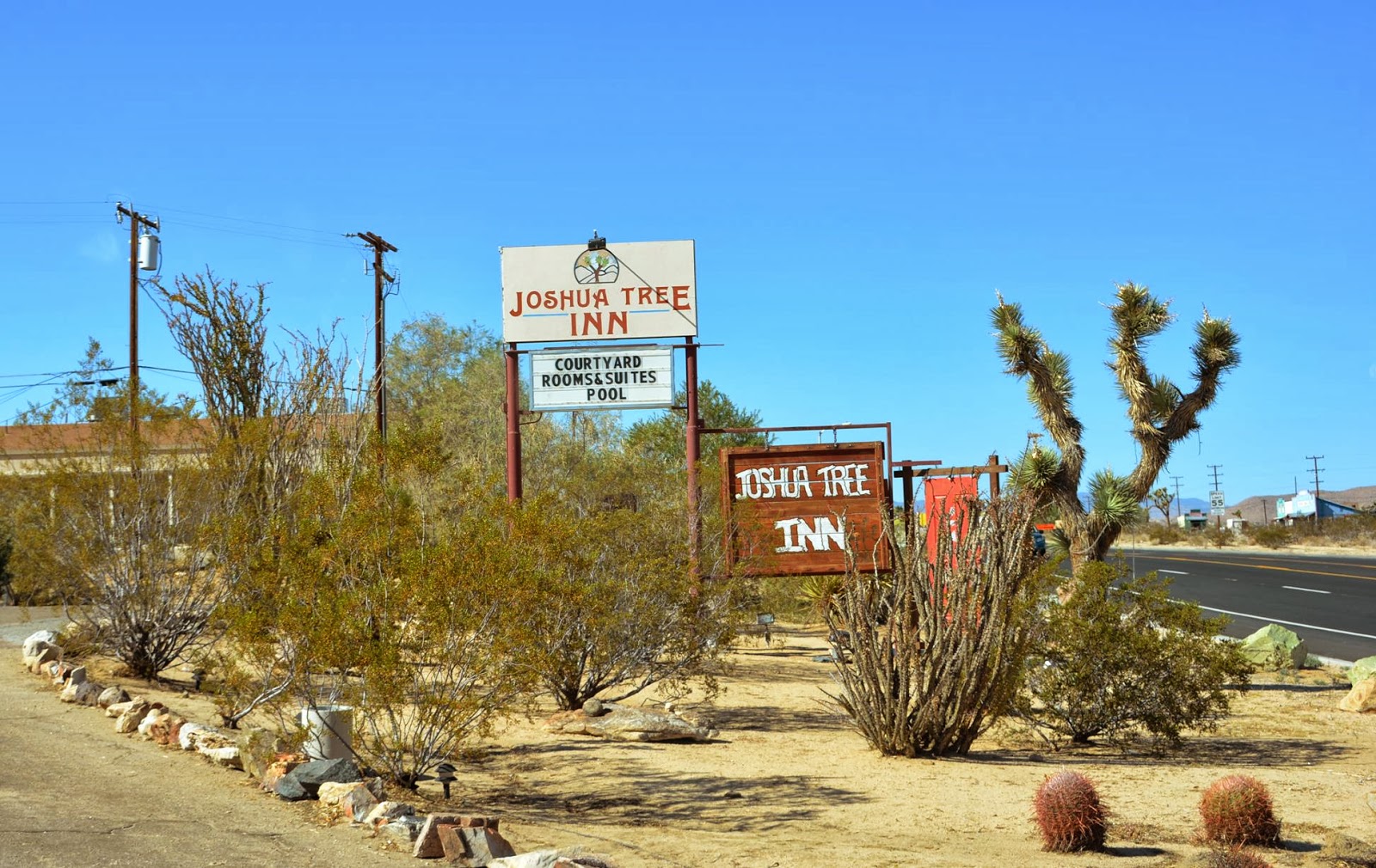 Patrick Tillett: Desert Oddity - Joshua Tree