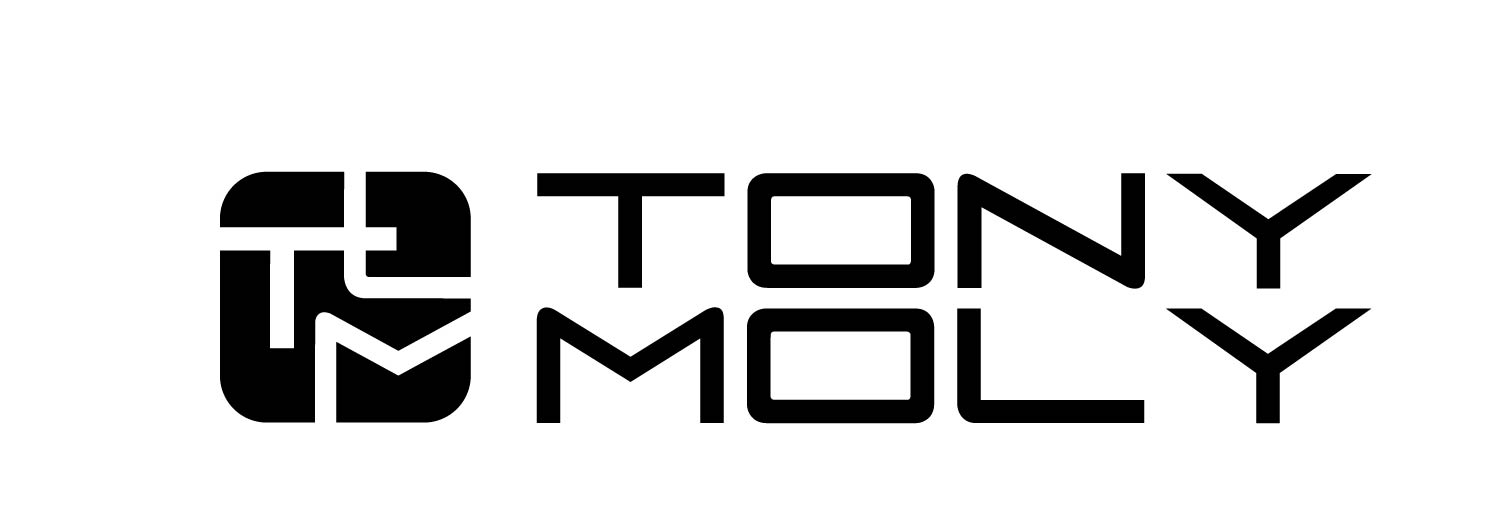 KOREAN PRODUCT DISTRIBUTION IN EUROPE: TONYMOLY BRAND CONCEPT