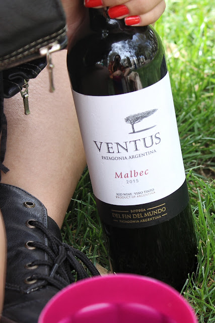 Vinho Ventus Malbec