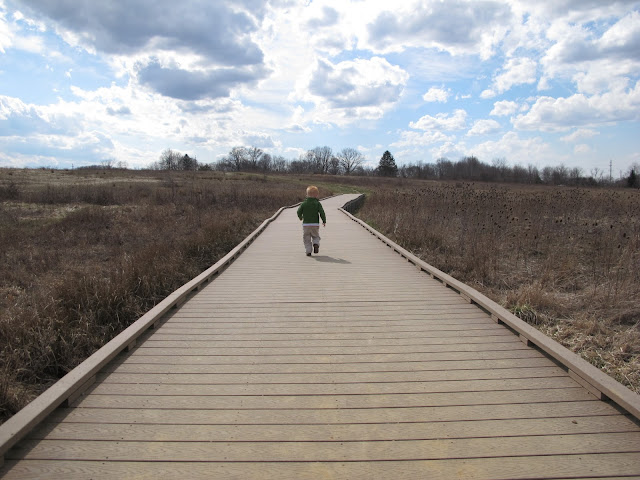 Porter Walking on Meadow Trail