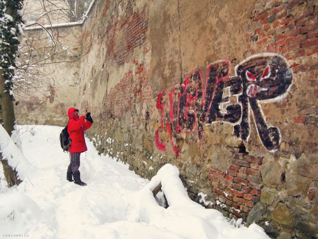 Chachamisu photo blog by Nataya Anindira: Snowy Castle Stroll. Http://chachamisu.blogspot.com Snowy winter and castle in Austria images