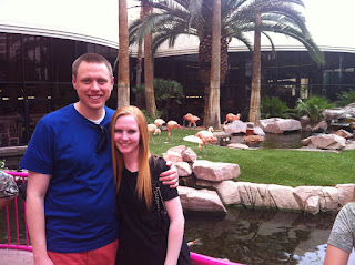 flamingo wildlife habitat at the flamingo hotel
